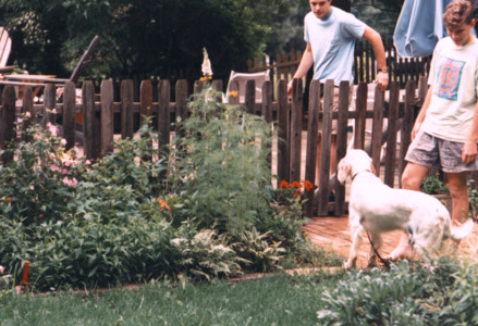 scan0004.tif